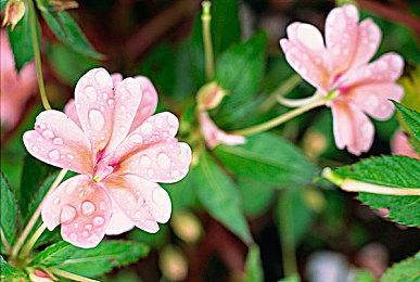 拯救超级儿童！《绝地潜兵2》开启慈善拍卖活动